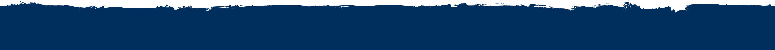 Pinsel Horizontal Dunkelblau Oben 2