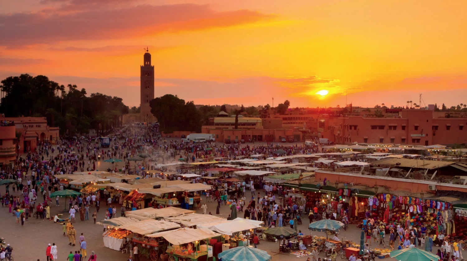 Dive Into North Africa