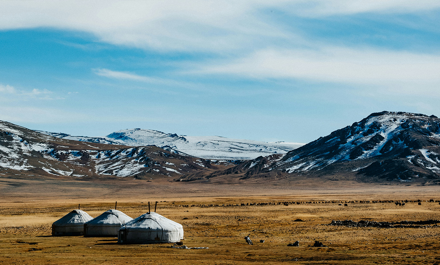 Central Asia Webseite.jpg