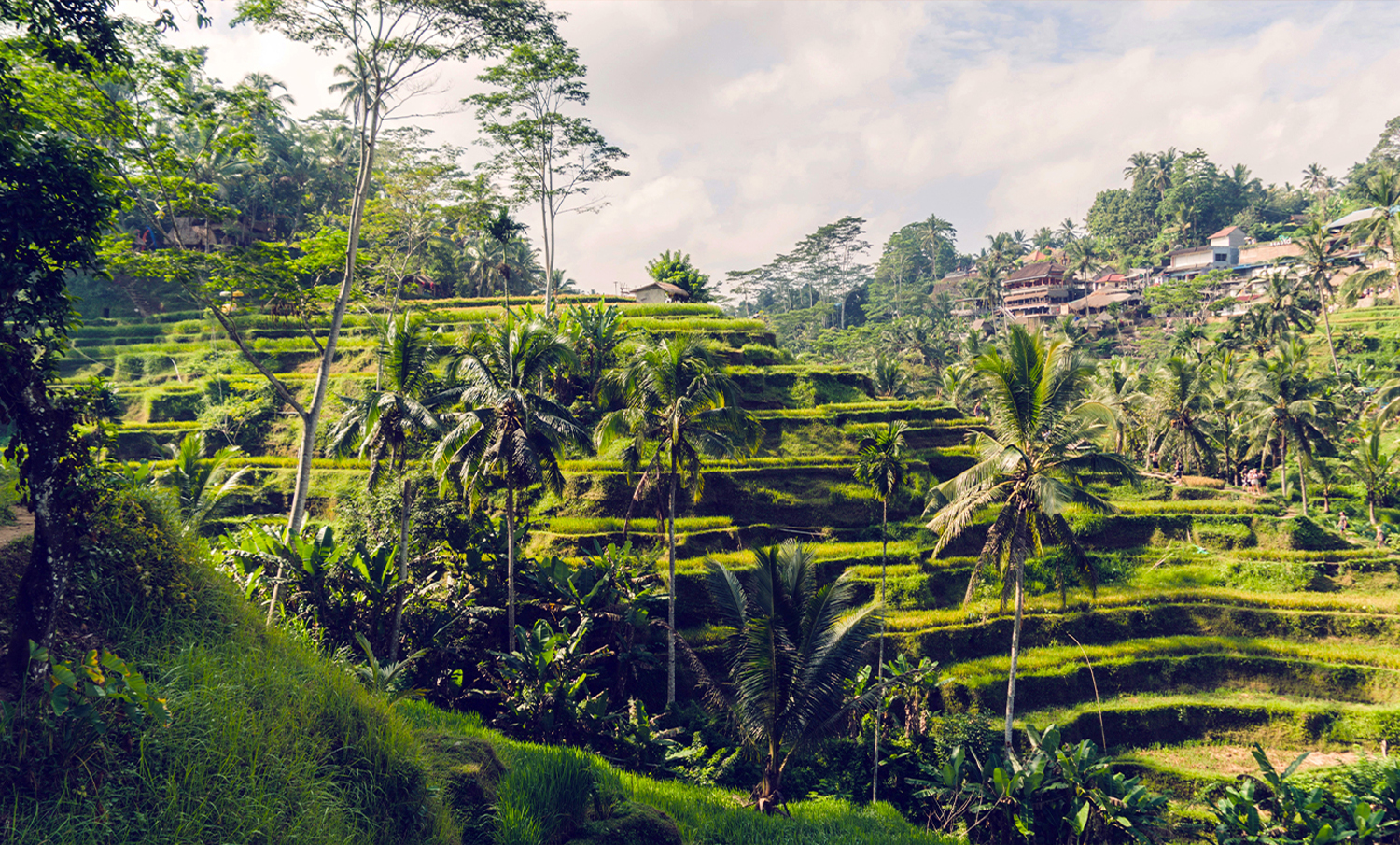 Southeast Asia Webseite.jpg